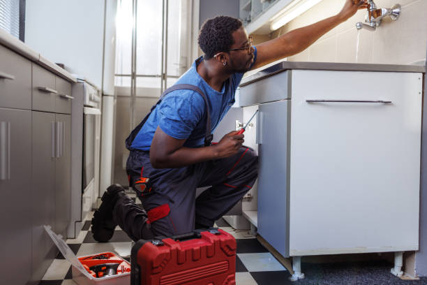 Best Local Plumber Services  in Alderson, WV